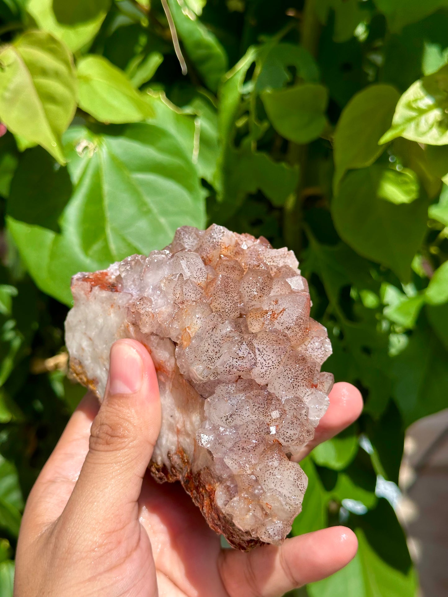 Tangerine Quartz 06